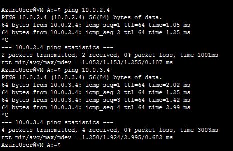 polecenie ping na serwerze linux
